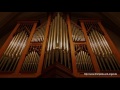 Trompete und Orgel - Händel, We praise thee O God aus dem Dettinger Te Deum