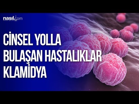 Cinsel Yolla Bulaşan Hastalıklar Klamidya