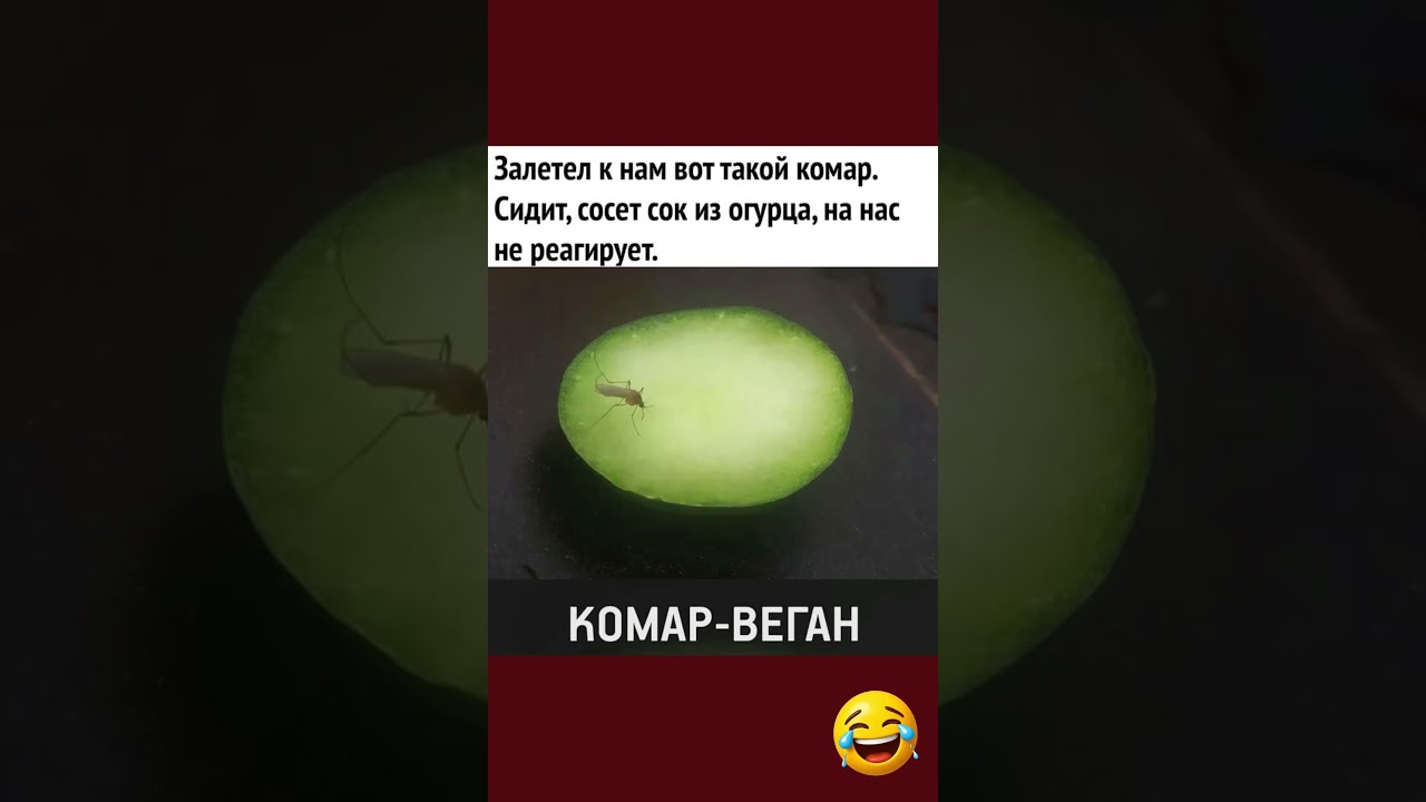 И такое что ли бывает😄