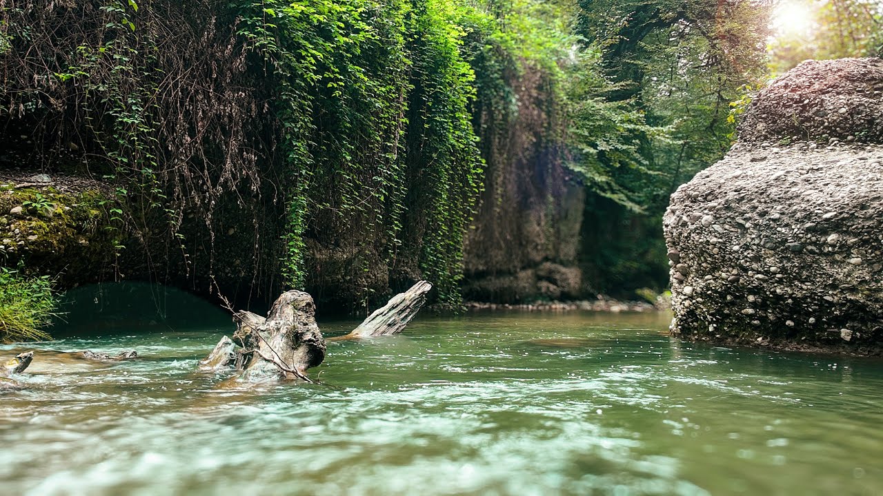 Into the wild! 🌲🔥Plang Dareh’s forest, river & a stunning hidden waterfall