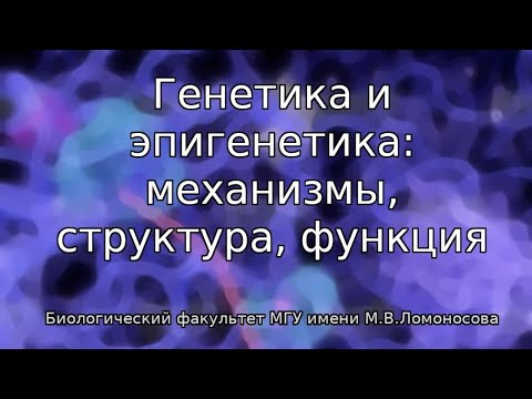 Генетика и эпигенетика: механизмы, структура, функция 2023. День 2