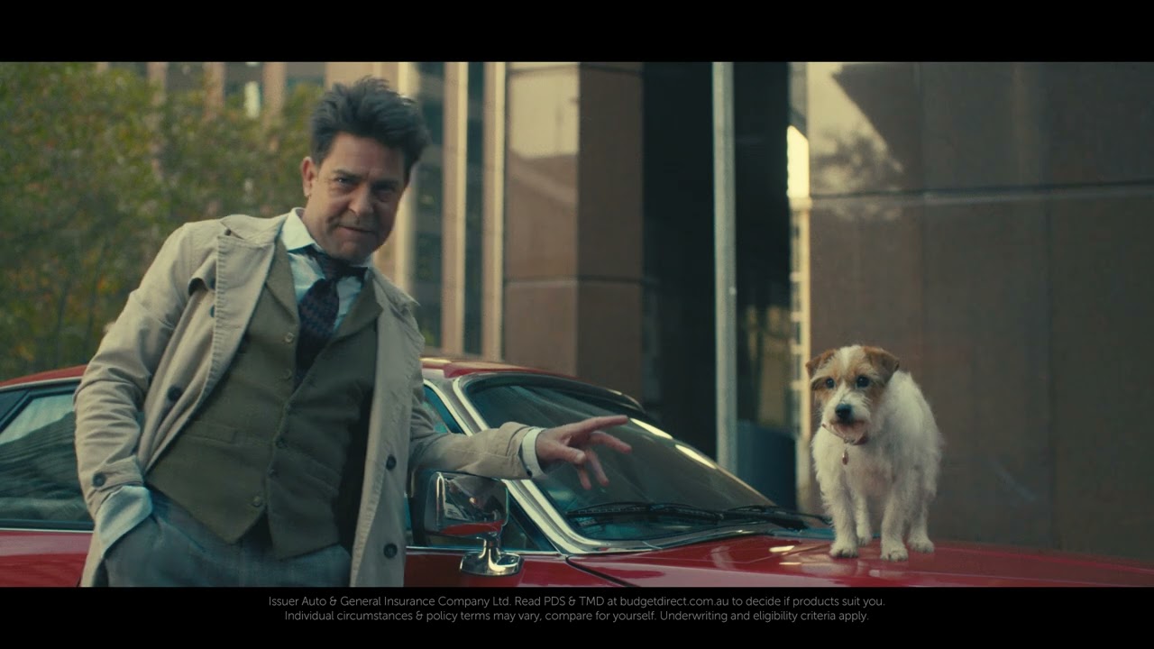 Budget Direct - The Perfect Metaphor