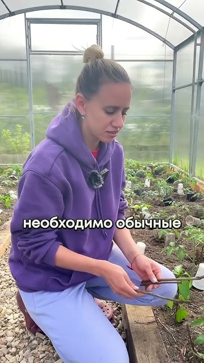 Как избавиться от медведки на участке? #огород #дача #сад #медведка# ...