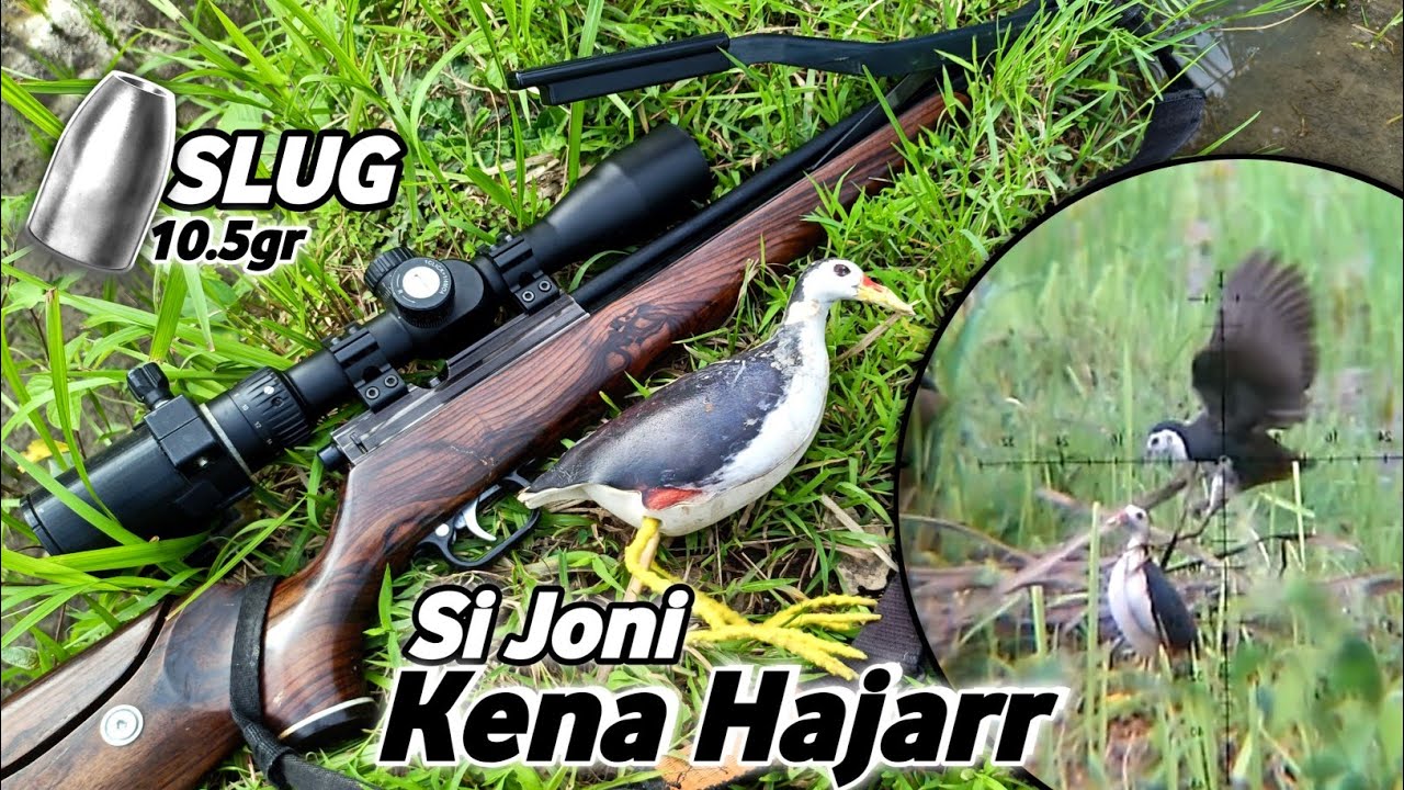 BERBURU RUAK-RUAK‼️ Poin MANTAP walau apes di awal