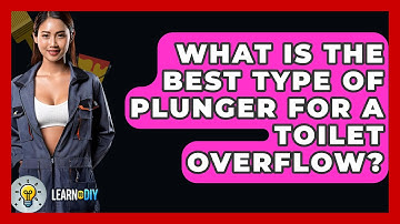 What Is The Best Type Of Plunger For A Toilet Overflow? - LearnToDIY360.com