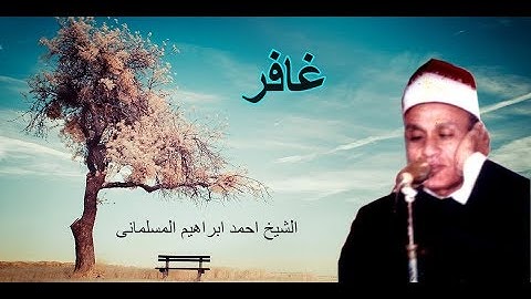 الشيخ-أحمد المسلمانى- من سوره غافر