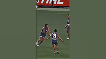 Marcus Bontempelli cold edit 🥶🥶🥶