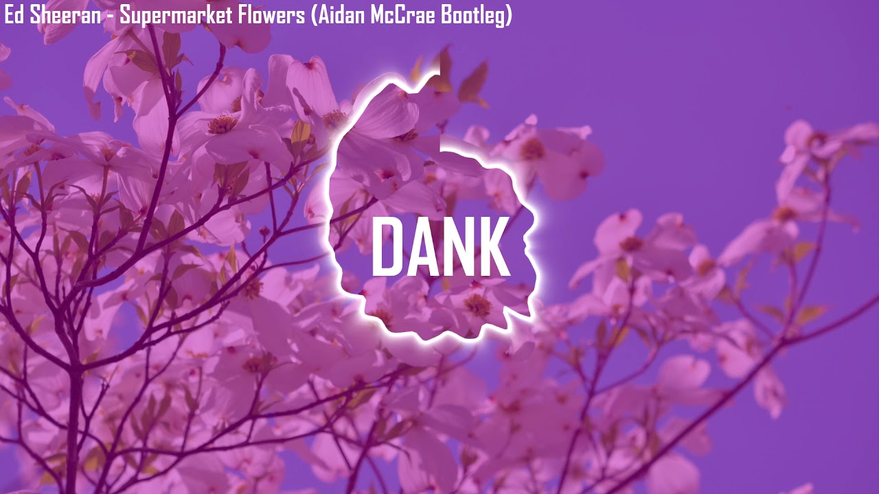 Ed Sheeran Supermarket Flowers (Aidan McCrae Remix Bootleg) YouTube