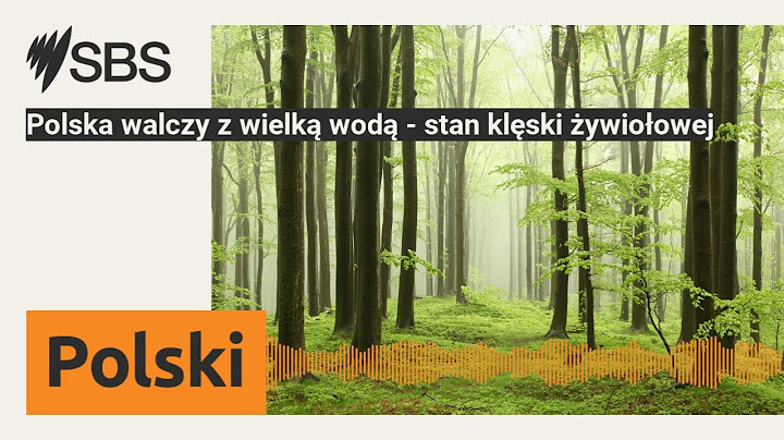 Polska walczy z wielką wodą - stan klęski żywiołowej | SBS Polish - SBS po polsku