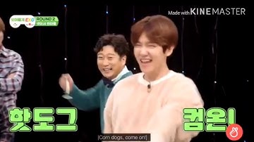 ENTAH APA YANG MERASUKIMU VERSI EXO
