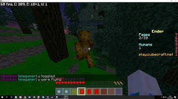 TastyyCookie Hacking On Cubecraft