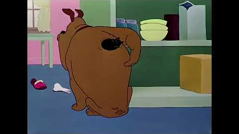 Feed the Kitty (1952) Opening & Closing