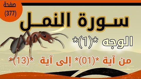 سورة النمل الوجه الأول صفحة ٣٧٧
