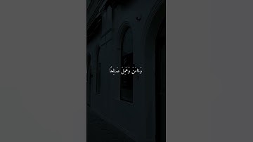 اجمل تلاوات الشيخ عمر بن ضياء الدين | واني لغفار لمن تاب#قران_كريم #عمر_بن_ضياء_الدين #explore #fyp
