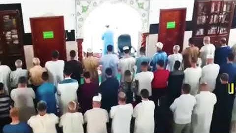 القارئ سعيد دباح - سورة النور ❤