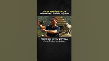 ĐỪNG ĐỂ NGOẠI HÌNH ĐÁNH LỪA, NHỮNG LOÀI KHỈ CÓ THỂ GÂY THIỆT MẠNG #kienthucthuvi #khampha #kienthuc