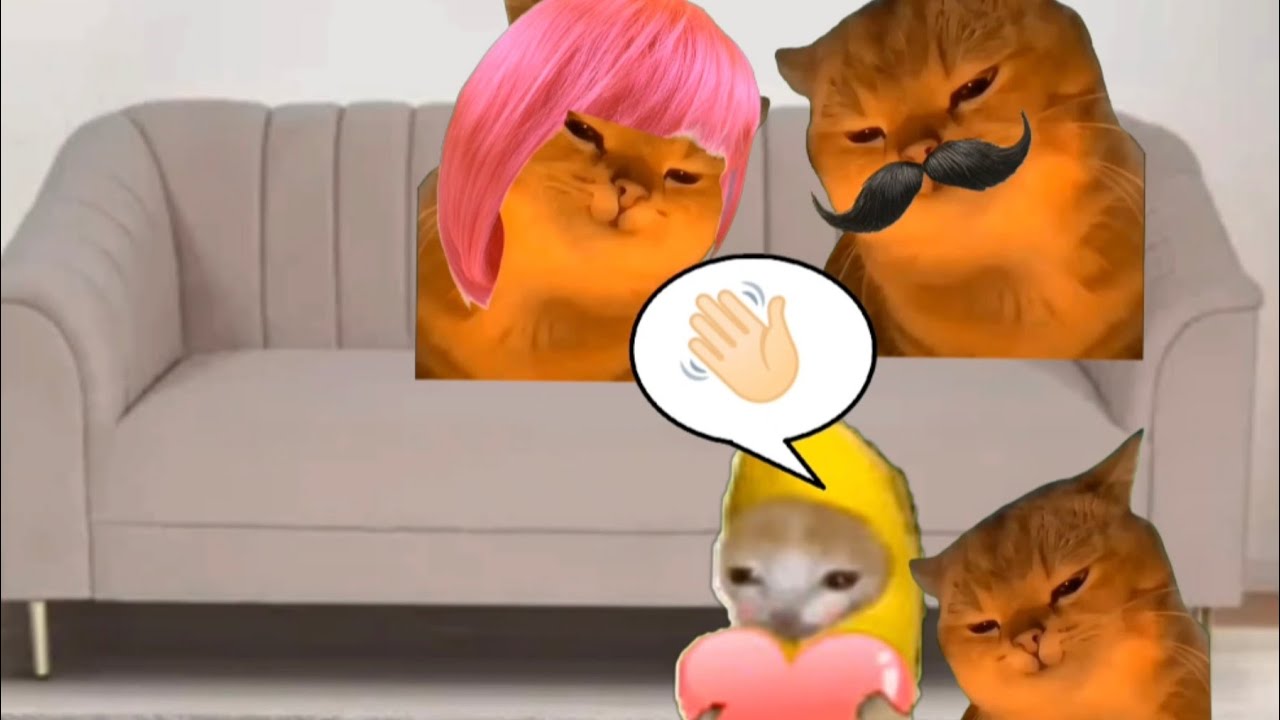 Baby Banana Cat Cry and Happy Videos Episode 68 😺💛