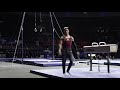 NCAA UMN Men's Gymnastics Pommel