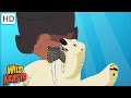 Wildlife Adventures Quiz