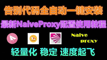 你的VPS上还在用一键脚本？告别代码全自动一键安装！小白的福音 | 最新NaiveProxy配置使用教程 | SSR trojan v2ray可视化 | Debian centos7不同环境速度对比