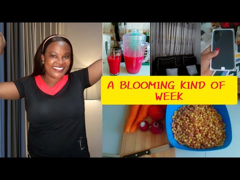 Urban Living,7 Days endless moments watch them Bloom|motivation|new phone|new curtains|cooking