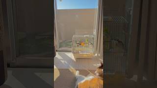 みんなで日向ぼっこ☀️