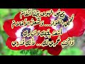 يازهرة عمري من الروائع mp3