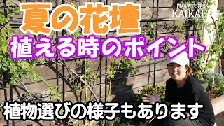 花壇　植え方　植える時のポイント　植物選び【おうちでガーデニング】開花園チャンネル