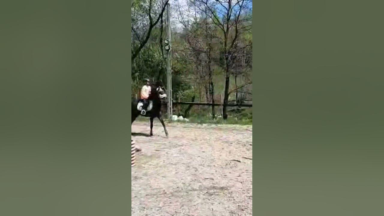 100cm🤯 - YouTube