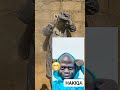 wahala Promax 🤪🤣🤣🤣