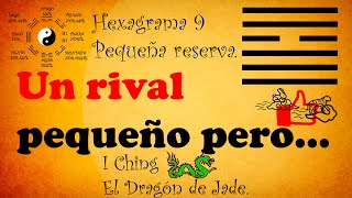 Famous I Ching / Hexagram 9 Small reserve. Net Worth