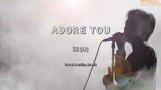 ADORE YOU - iKON (Instrumental & Lyrics)