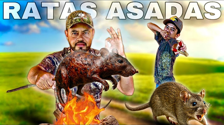 CAZA y COCINA de RATAS con RESORTERA // SUSCRIPTORES INVITADOS
