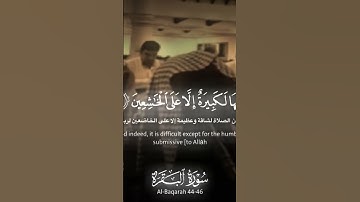 قران كريم | بصوت الشيخ محمد اللحيدان #اكسبلور #المصحف #لايك