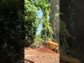 🪵💥 Goodbye ugly stumps… Hello clean yard! 💥🪵 #stumpgrinding #treeservice #atlanta #georgia #tree