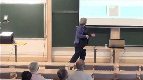 Prof. Jack Kleijnen | Panel: Input uncertainty and experimental robustness