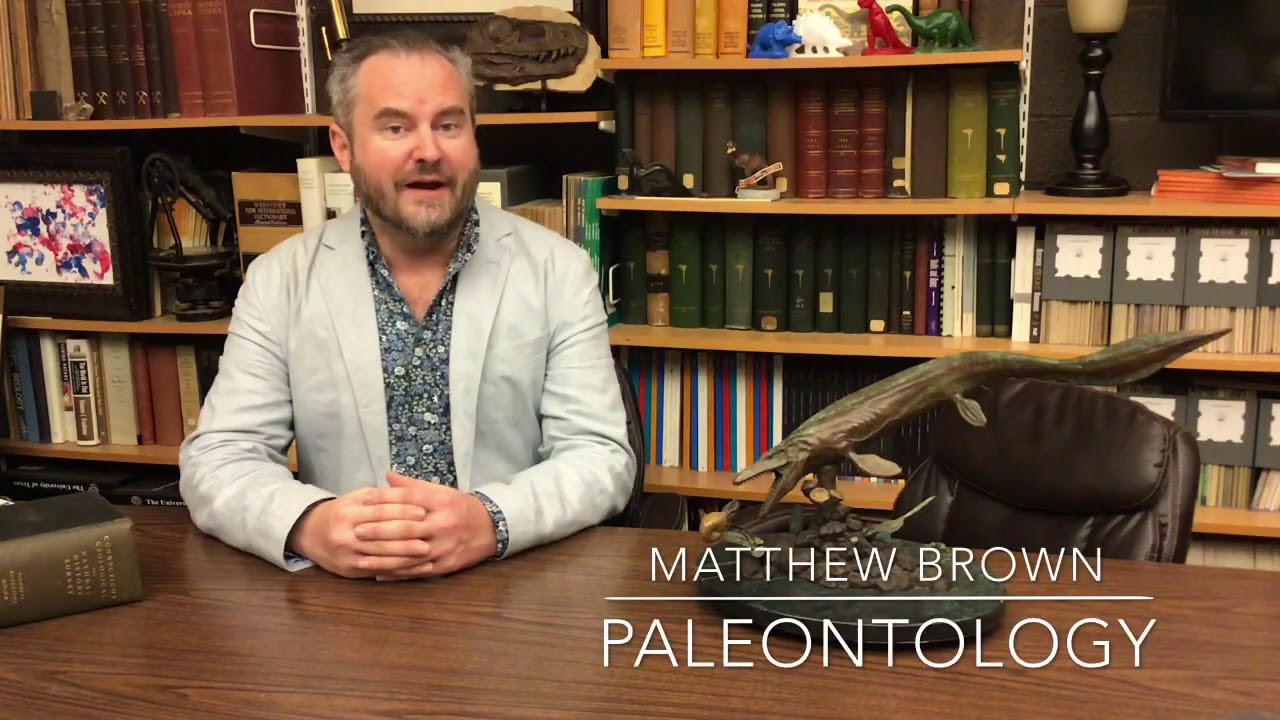 Collections Careers Paleontology YouTube