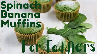 Banana Spinach Muffins; Toddler Snacks by Living & Learning with Lina 804 views 1 year ago 2 minutes, 4 seconds