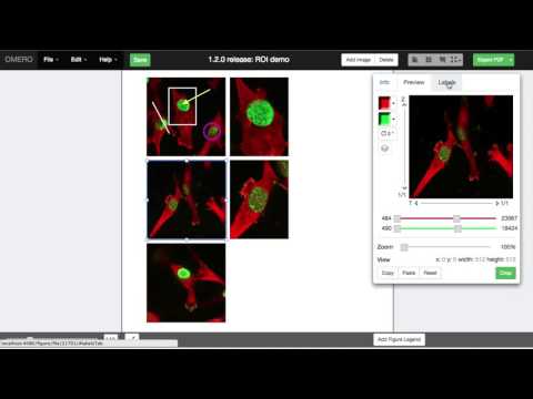 OMERO figure 1.2.0 release: ROI features