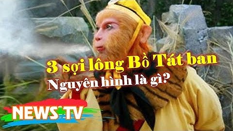 3 sợi lông Bồ Tát ban cho Tôn Ngộ Không nguyên hình là gì?