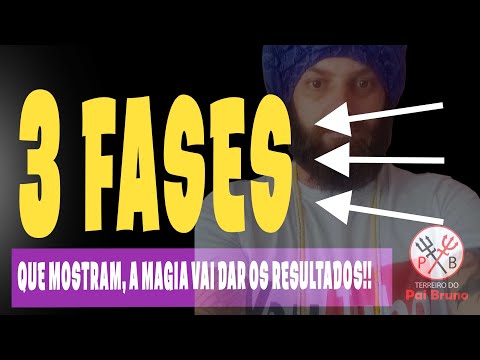 3 FASES QUE
