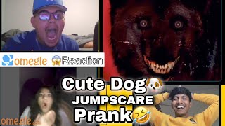 Cute dog JUMPSCARE PRANK on Omegle