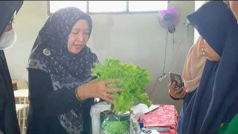 Vidio Budidadya sayur dan buah