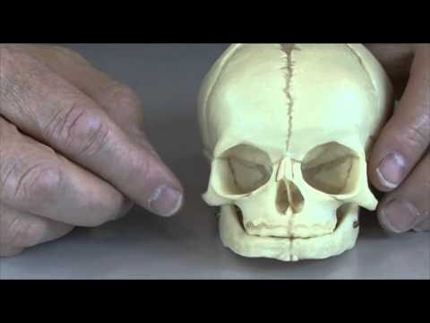 Videó: Mikor keményedik meg az újszülött koponyája?