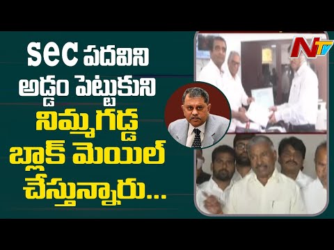 Minister Peddireddy Ramachandra Reddy Sensational Comments On SEC Nimmagadda Ramesh Kumar | Ntv