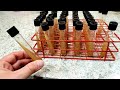 How to Make Agar Wort Slants