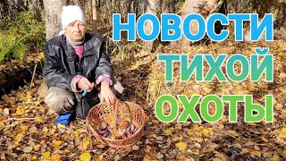 Актуальные новости тихой охоты Подмосковье