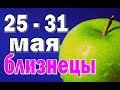 БЛИЗНЕЦЫ 🌸 неделя с 25 по 31 мая. Таро прогноз гороскоп