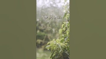 حالات واتس اب قران كريم بصوت جميل جداً | إِنَّ الْأَبْرَارَ لَفِي نَعِيمٍ