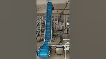 z belt bucket elevator #machine #bucketelevator #bucketconveyor